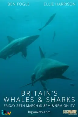 Britain's Whales and Sharks Season 1