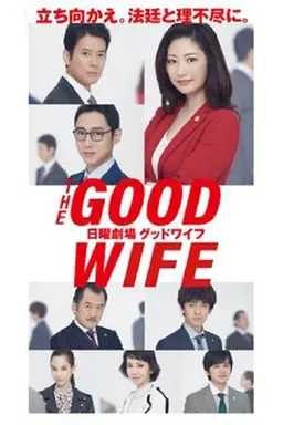 The Good Wife Season 1