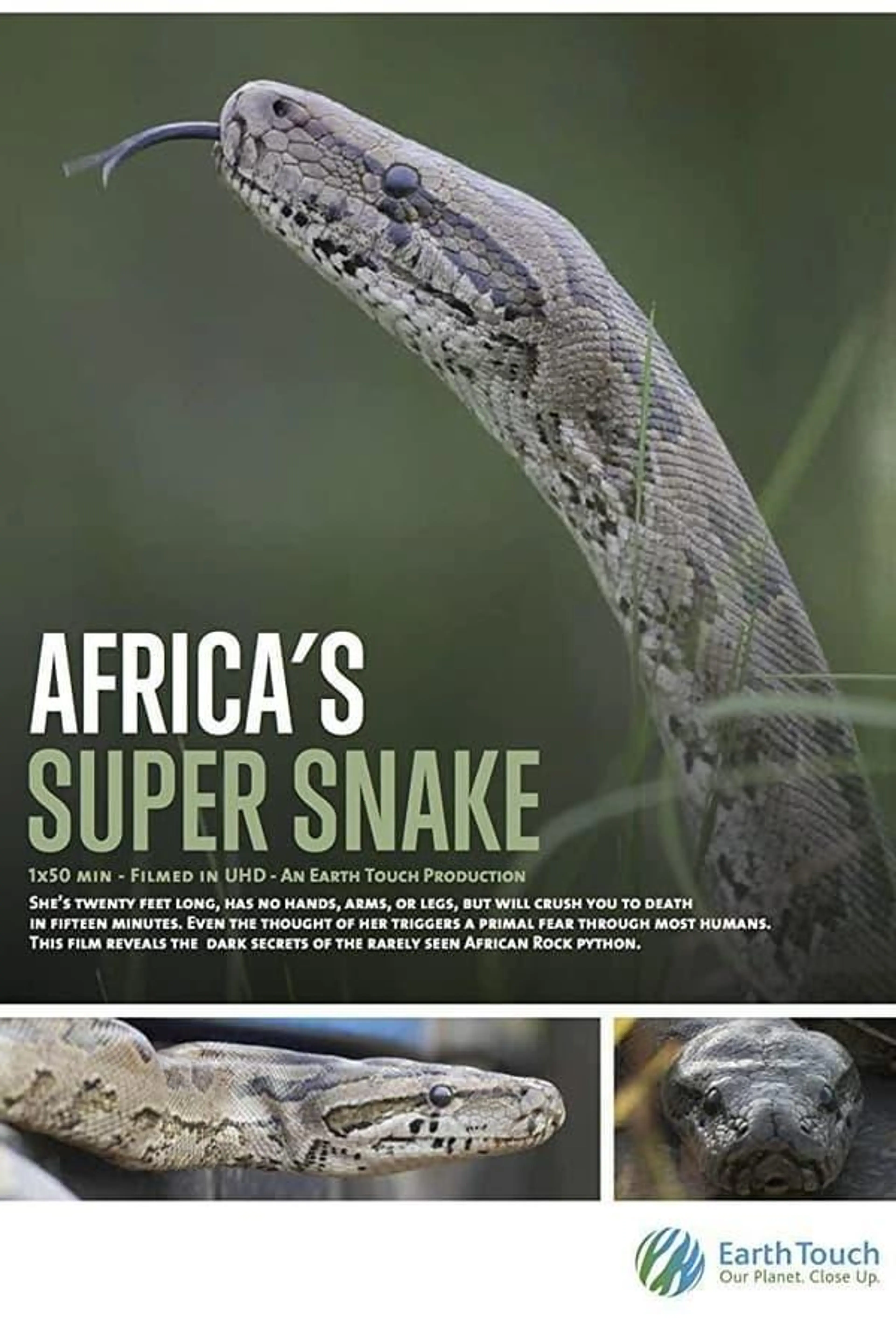 Africa's Super Snake