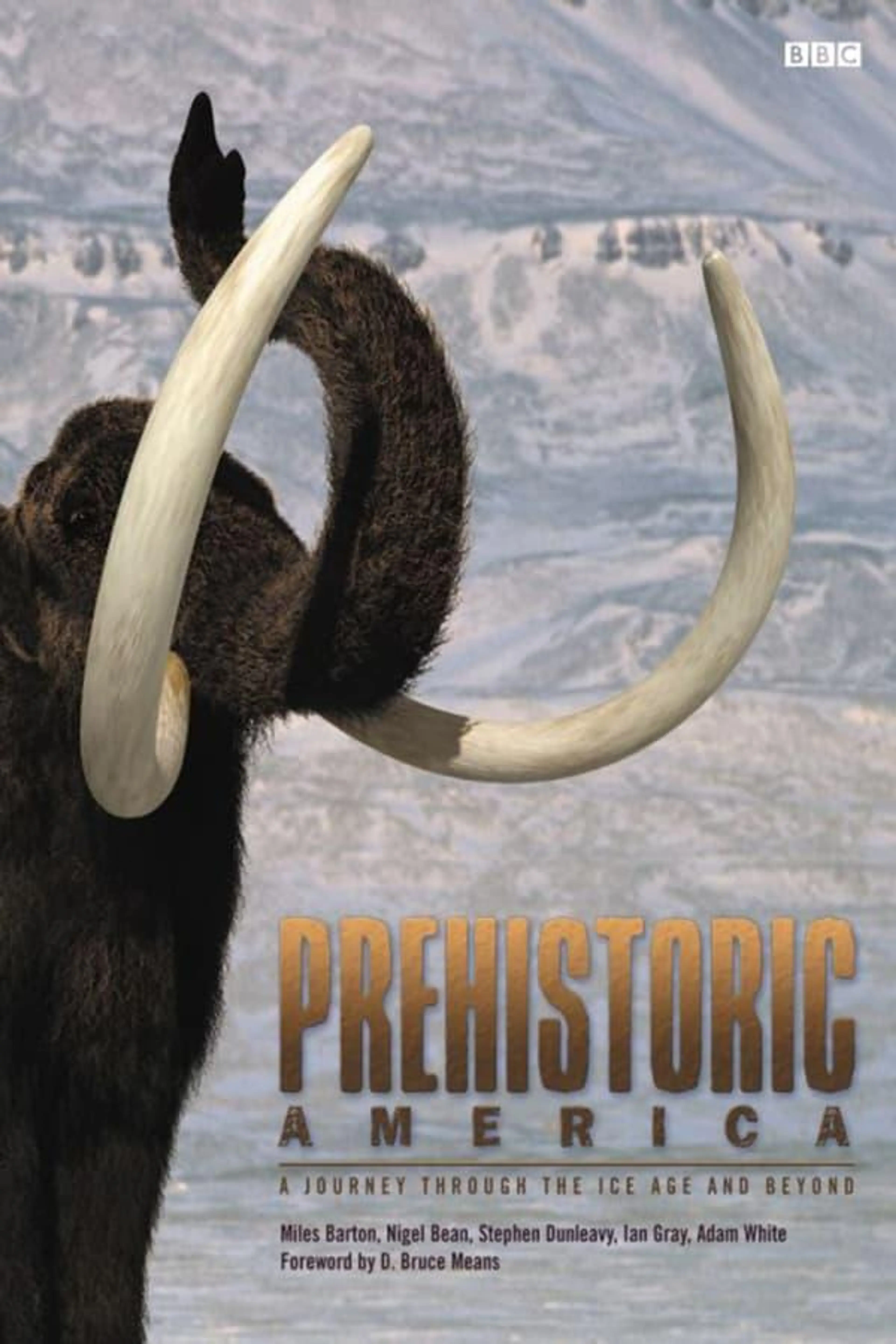Wild New World Miniseries