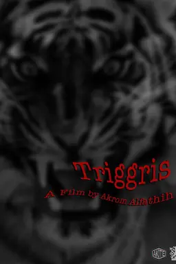 Triggris