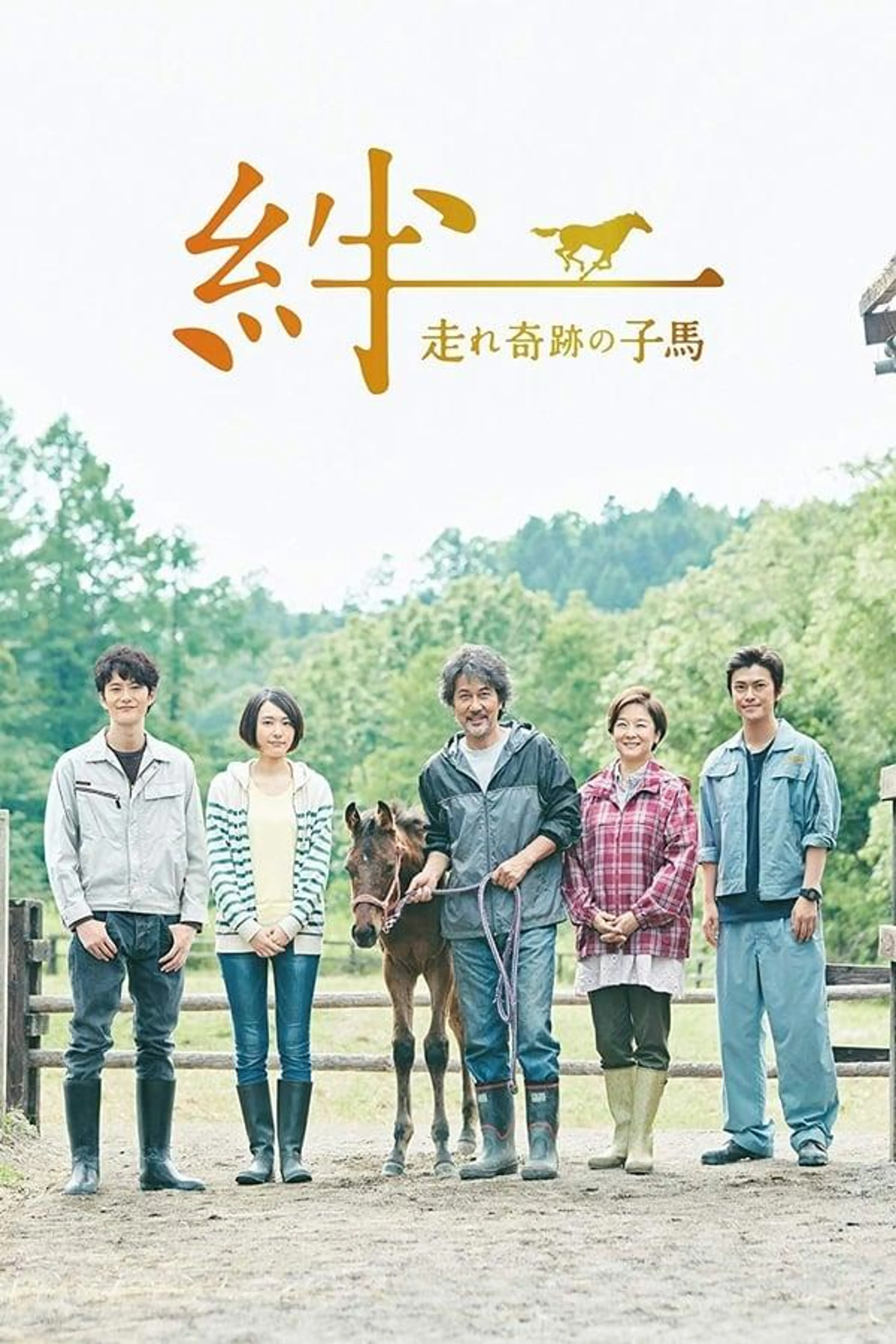 Ties: A Miraculous Colt Season 1