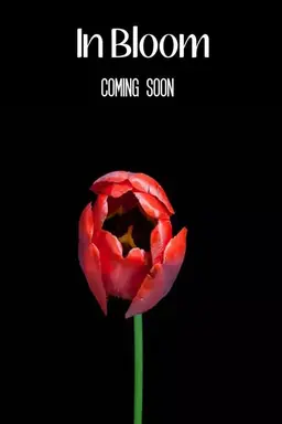 In Bloom