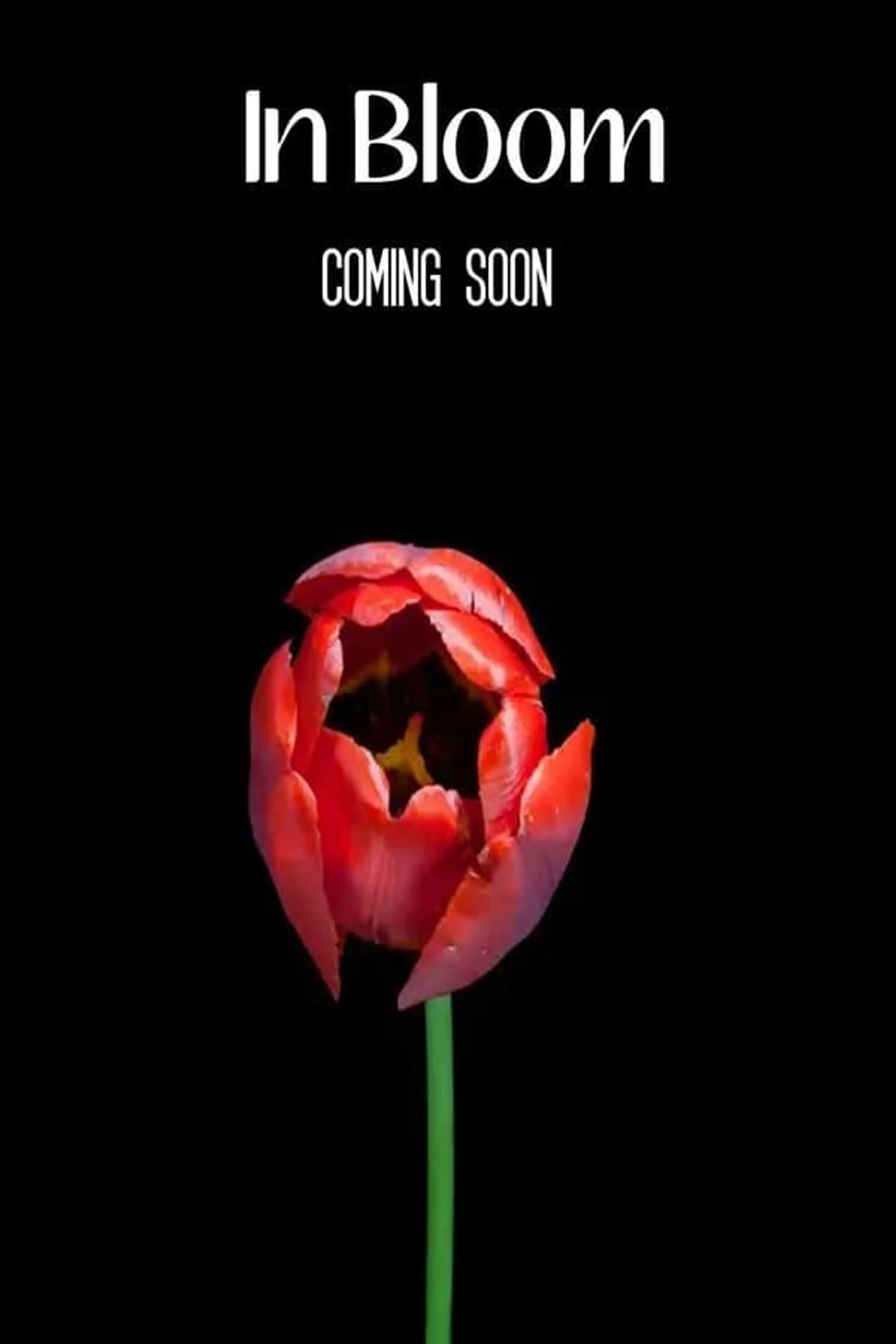 In Bloom