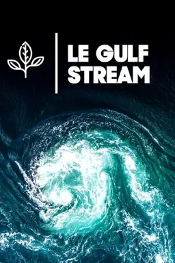 Le Gulf Stream