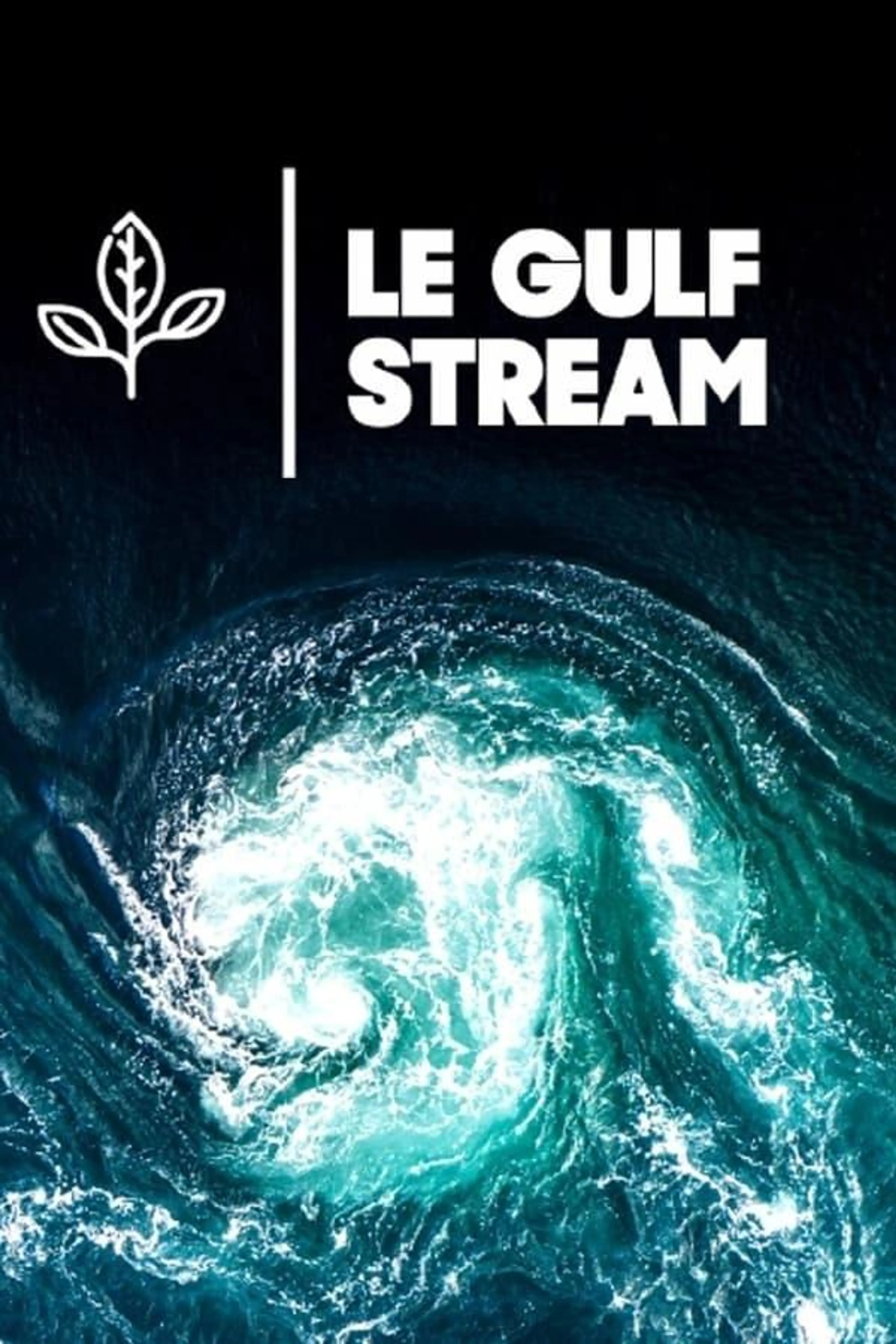 Le Gulf Stream