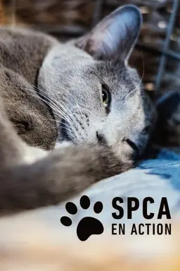 SPCA en action Season 1