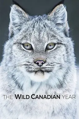 The Wild Canadian Year Season 1