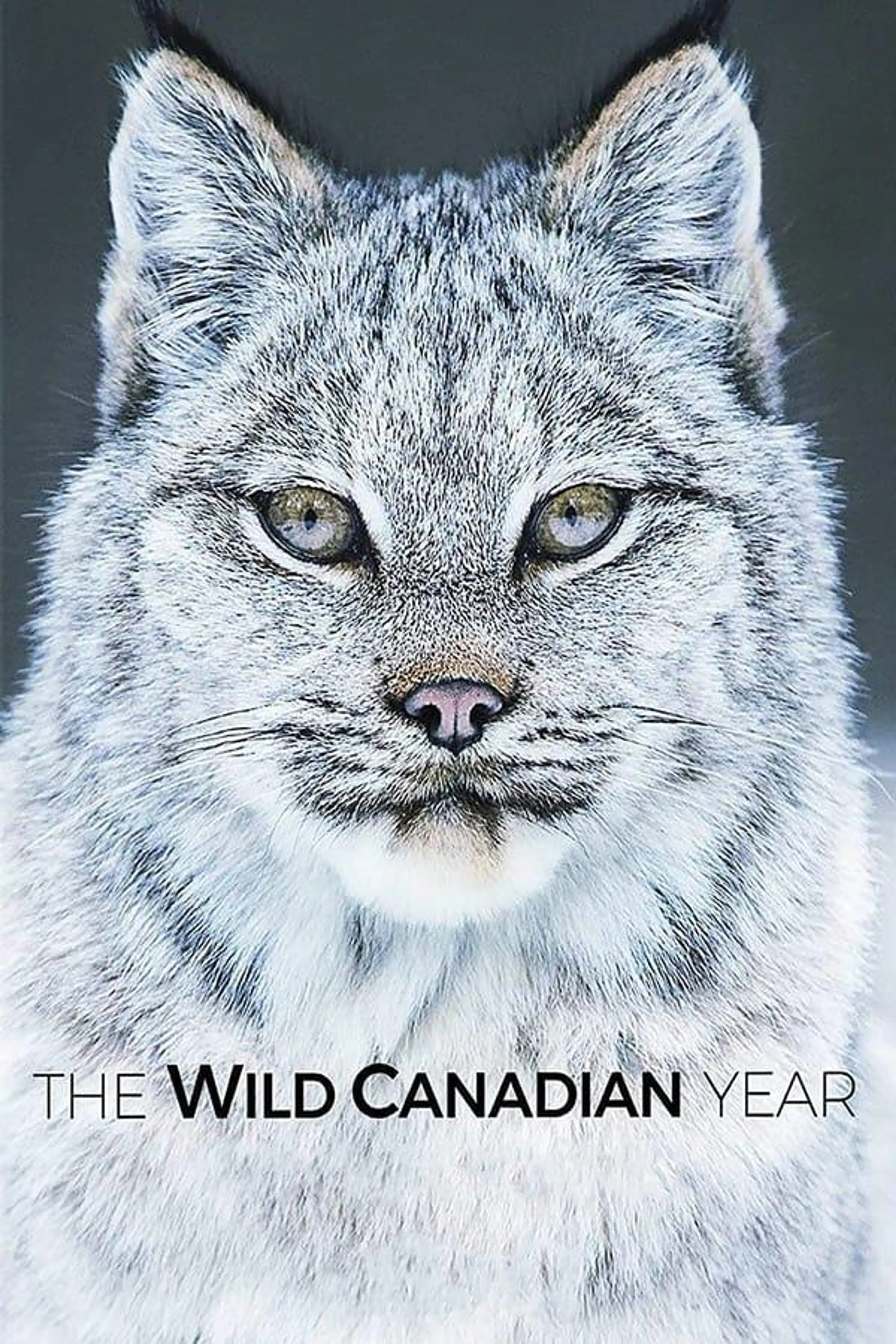 The Wild Canadian Year Season 1