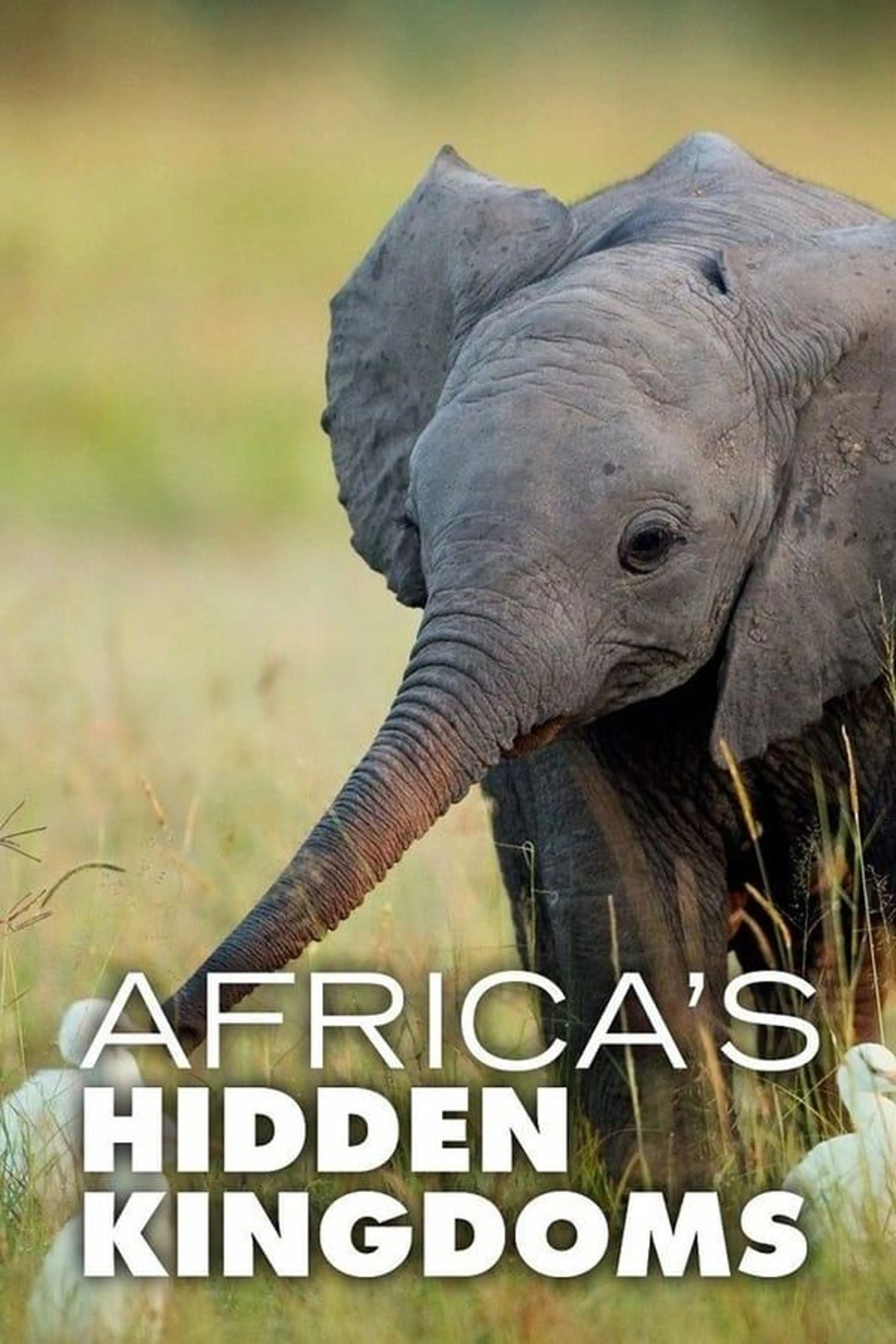 Africa's Hidden Kingdoms Season 1