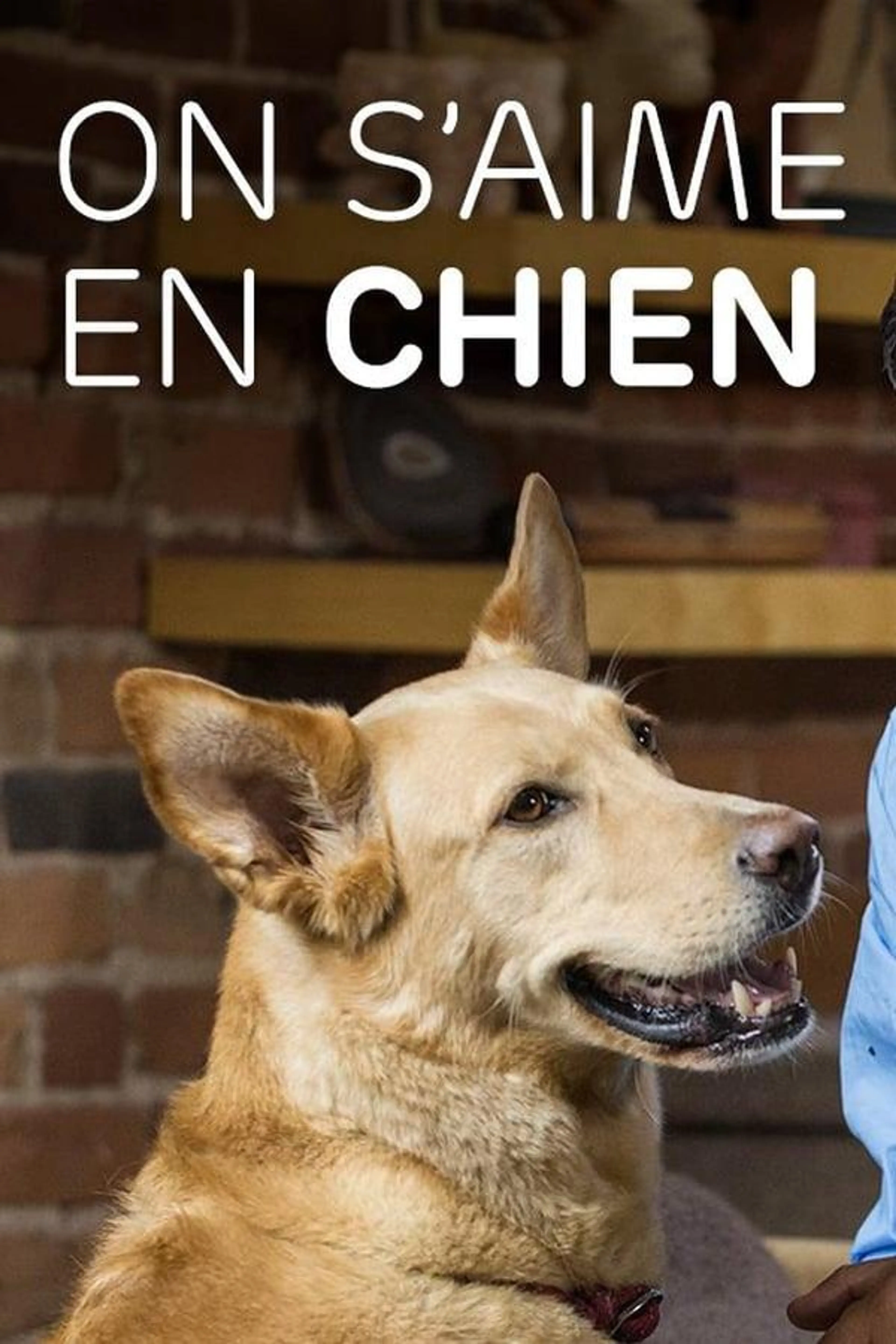 Couple with Dog Season 2