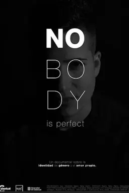 Nobody Is Perfect