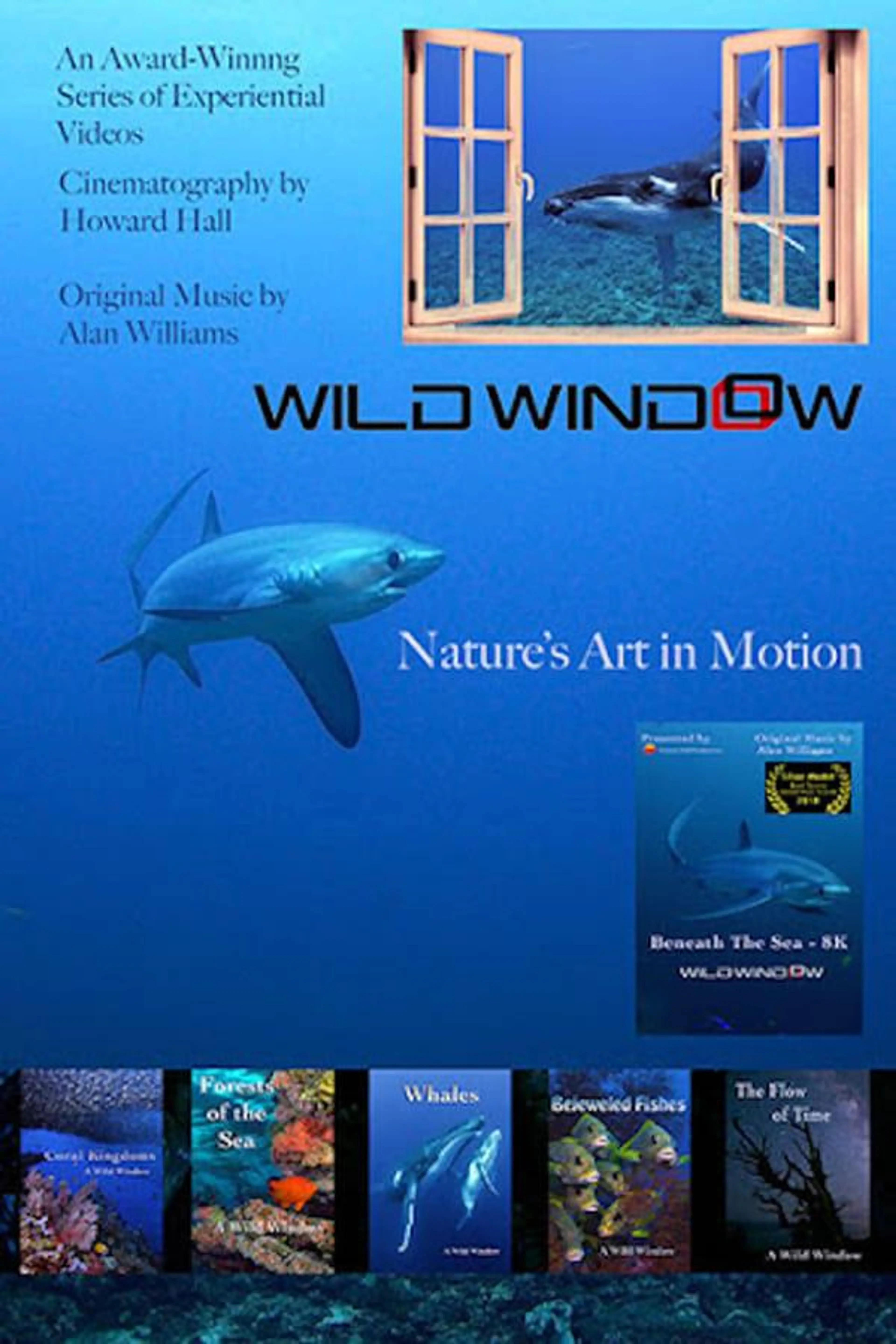 Wild Window Season 1
