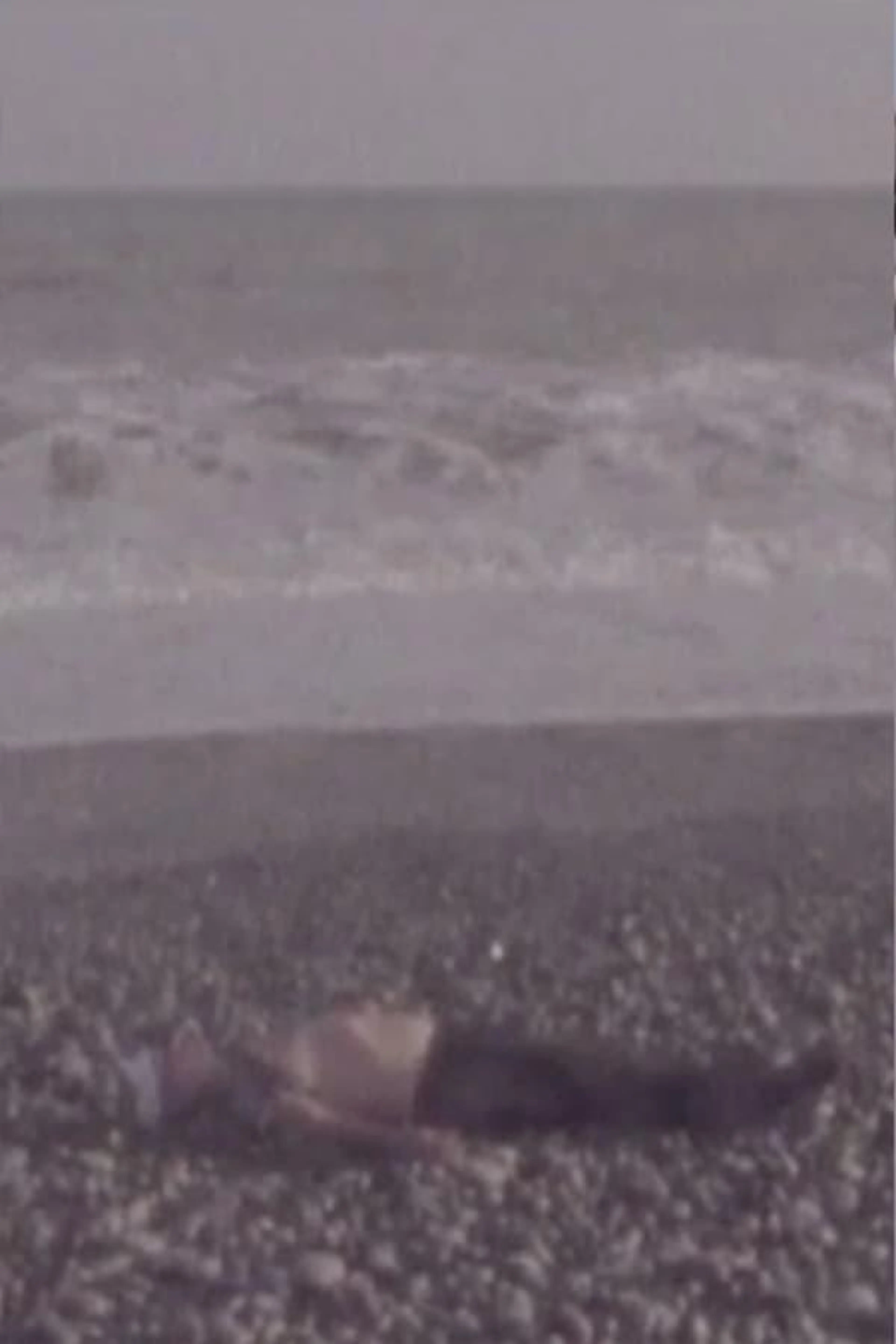 La mar brava