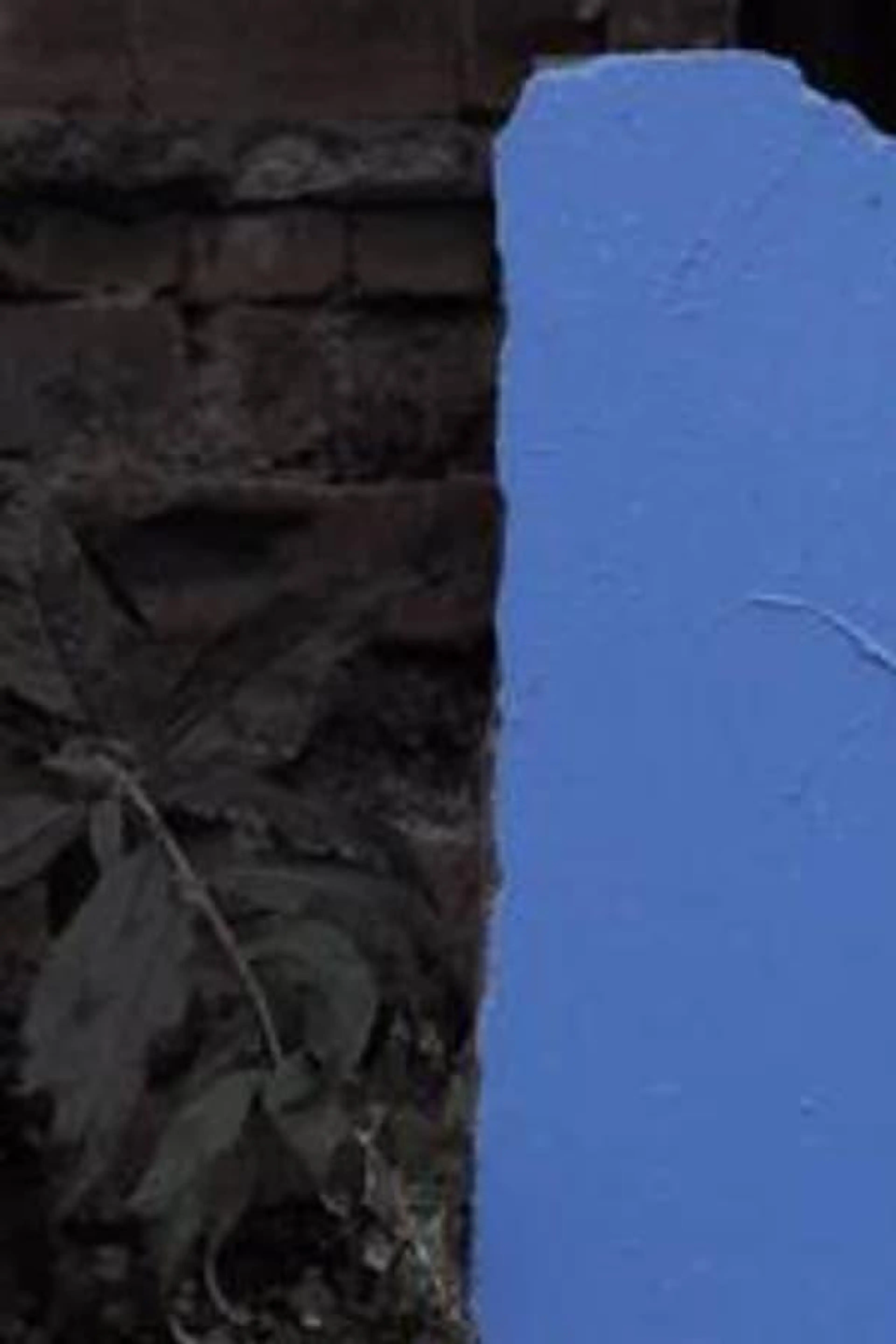 Supper Mountain Mimih