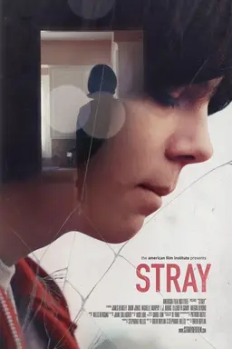 Stray