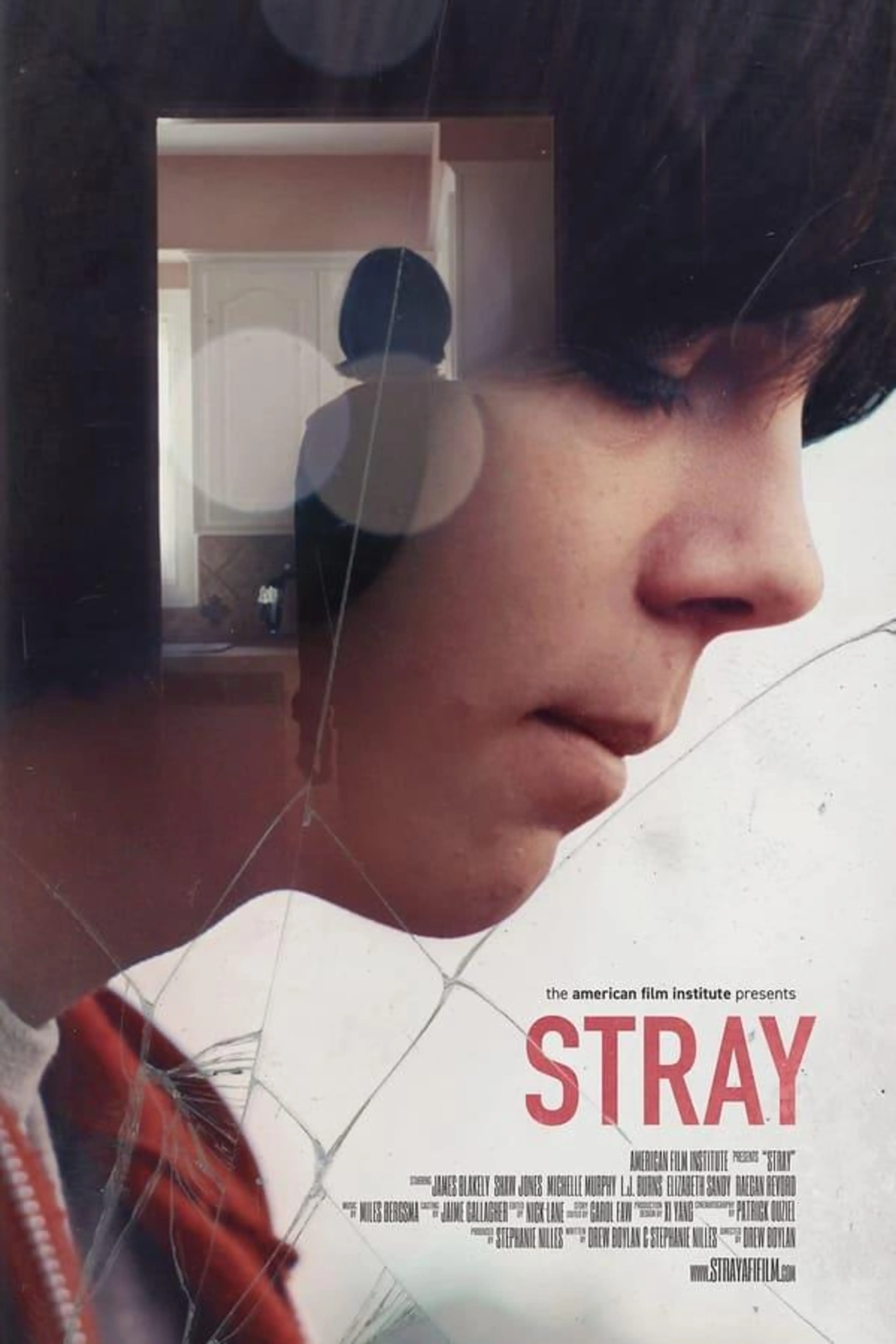 Stray