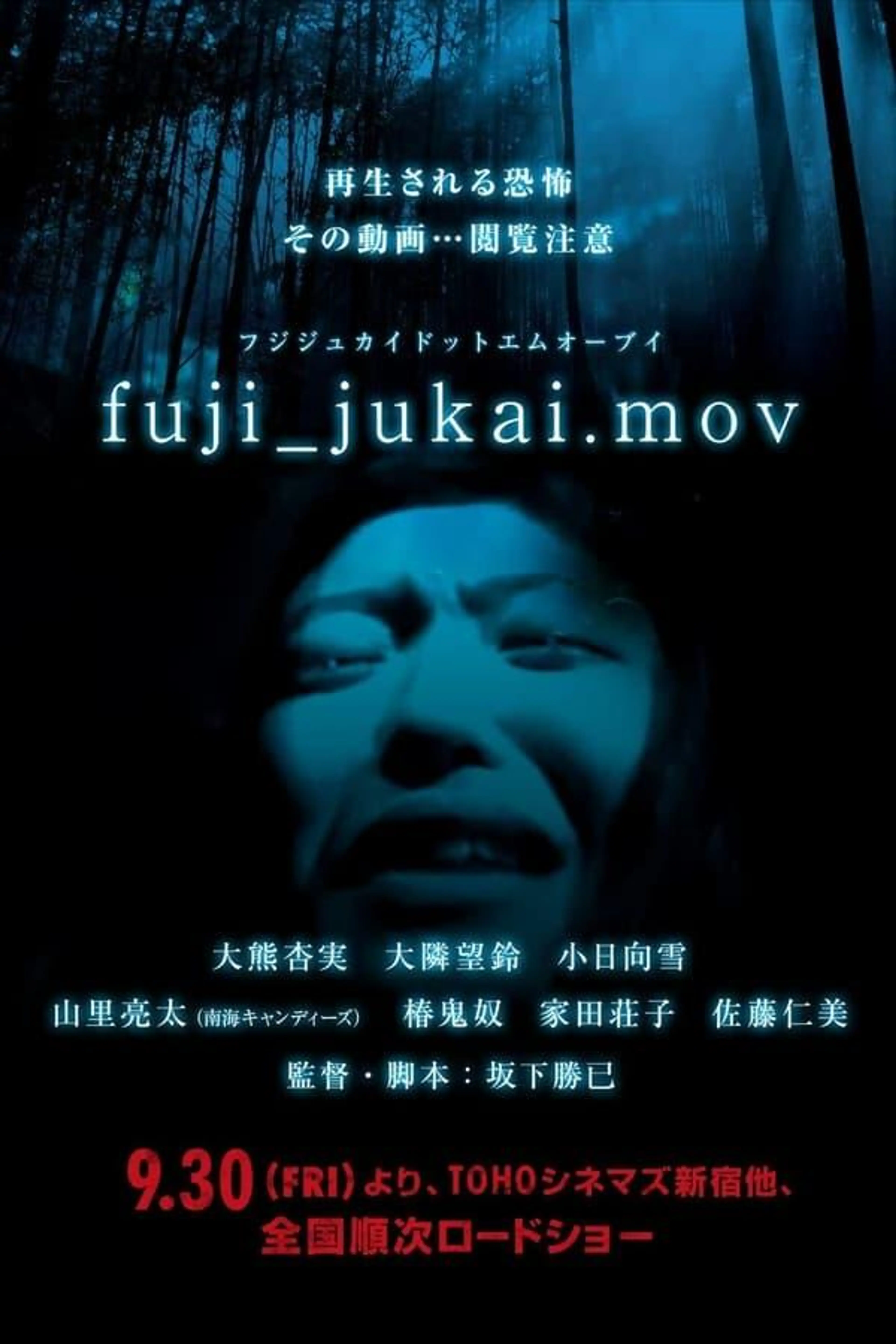 fuji_jukai.mov