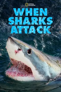 When Sharks Attack Season 1