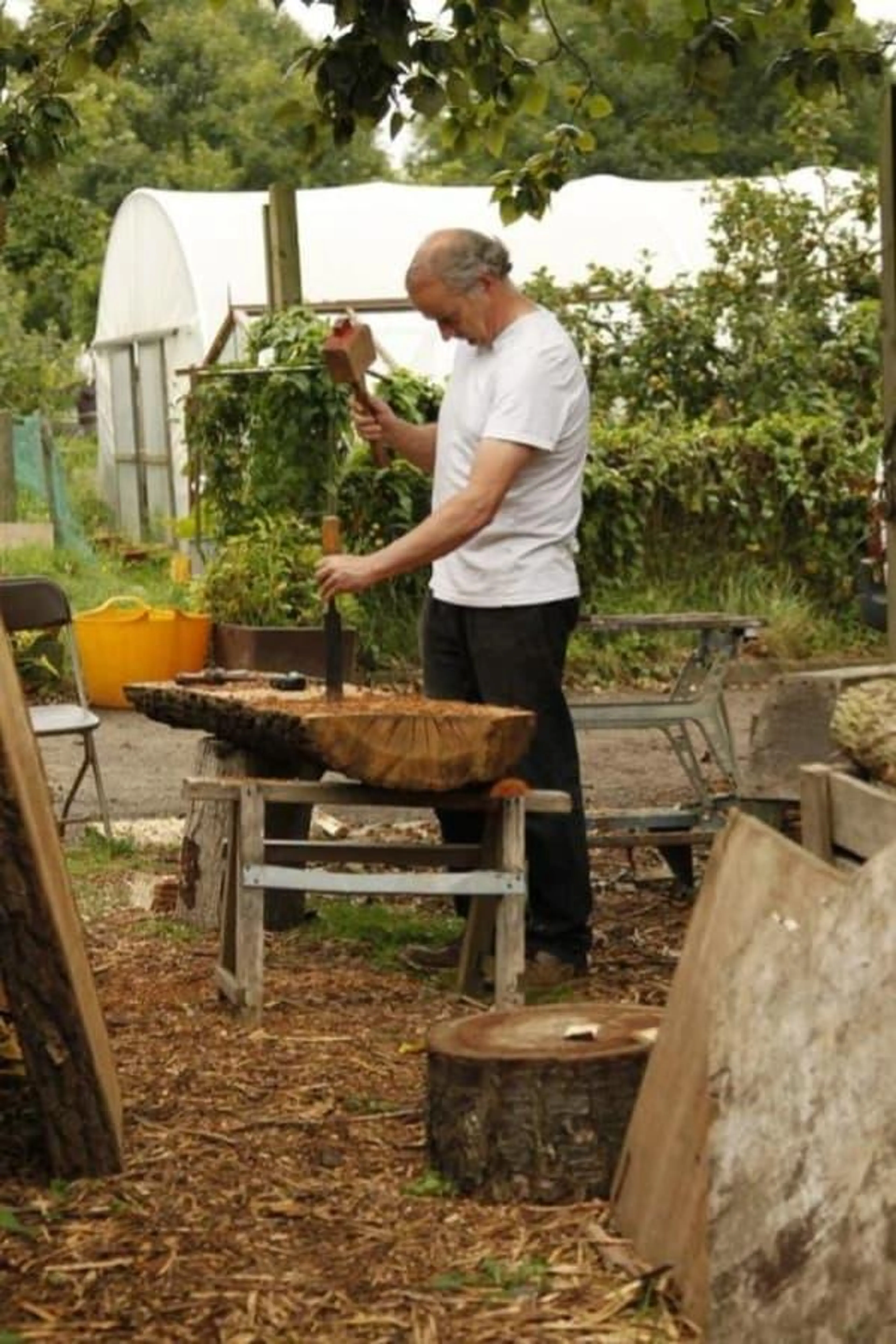 From Tree To Bench