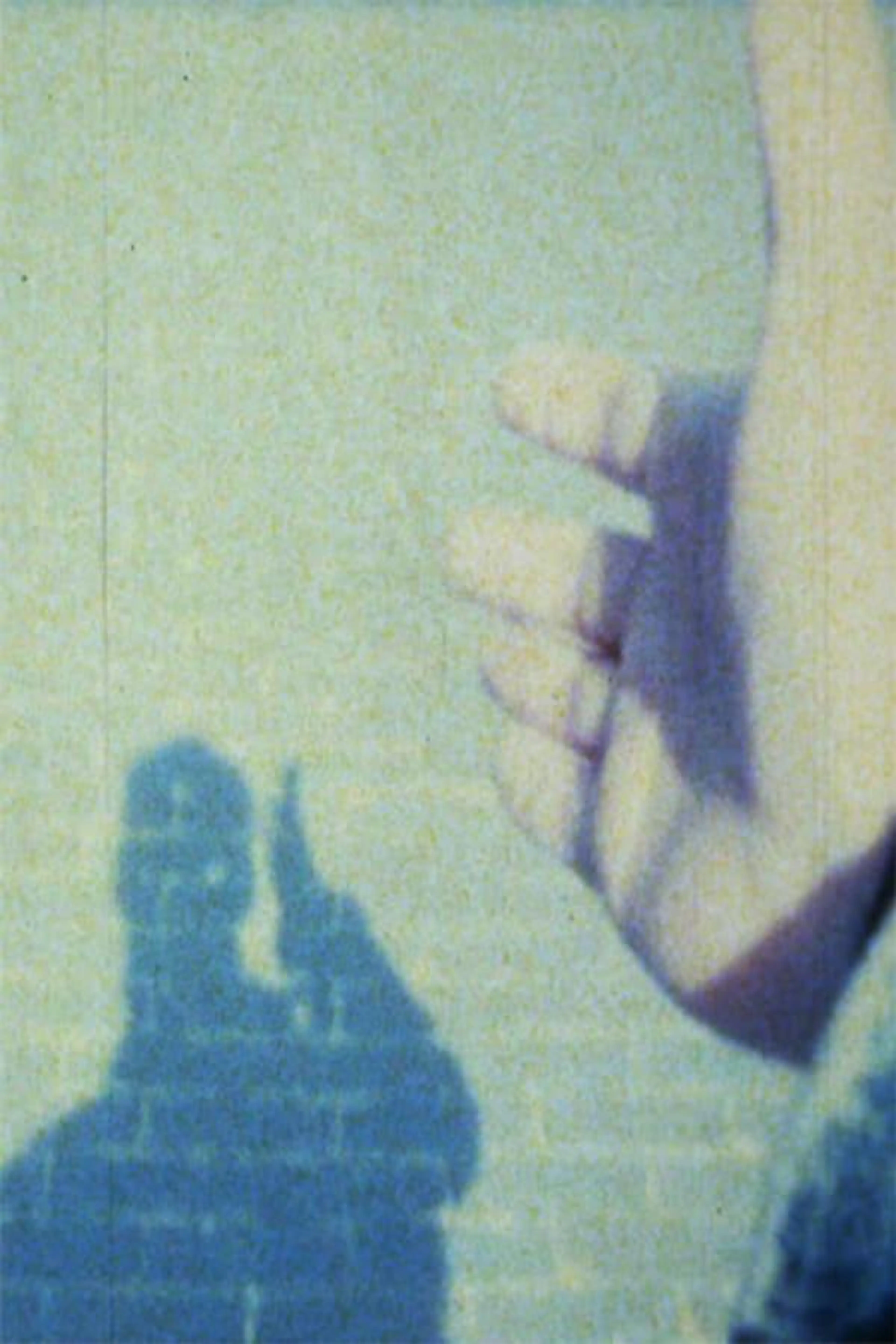 De hand