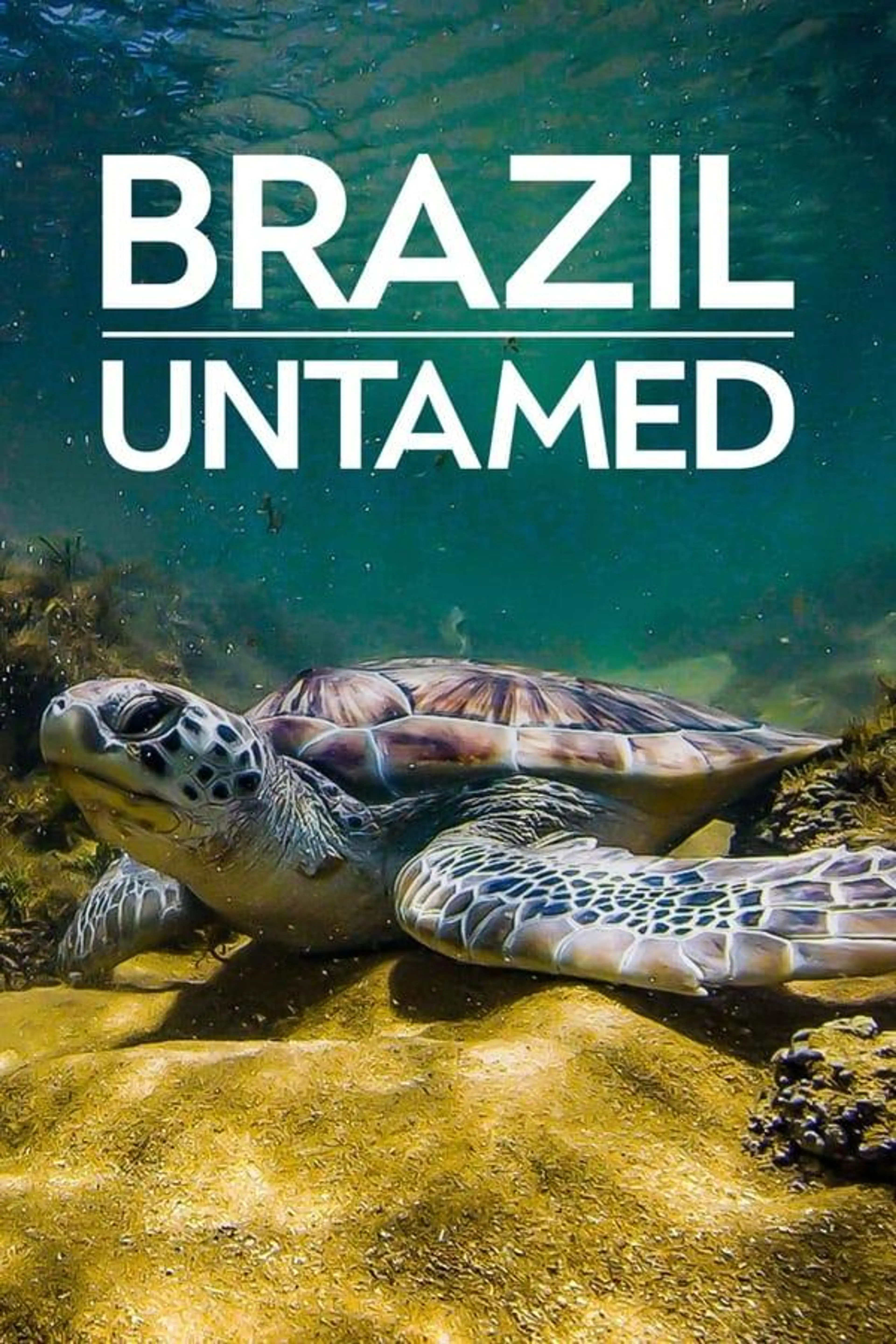 Brazil Untamed Biomes