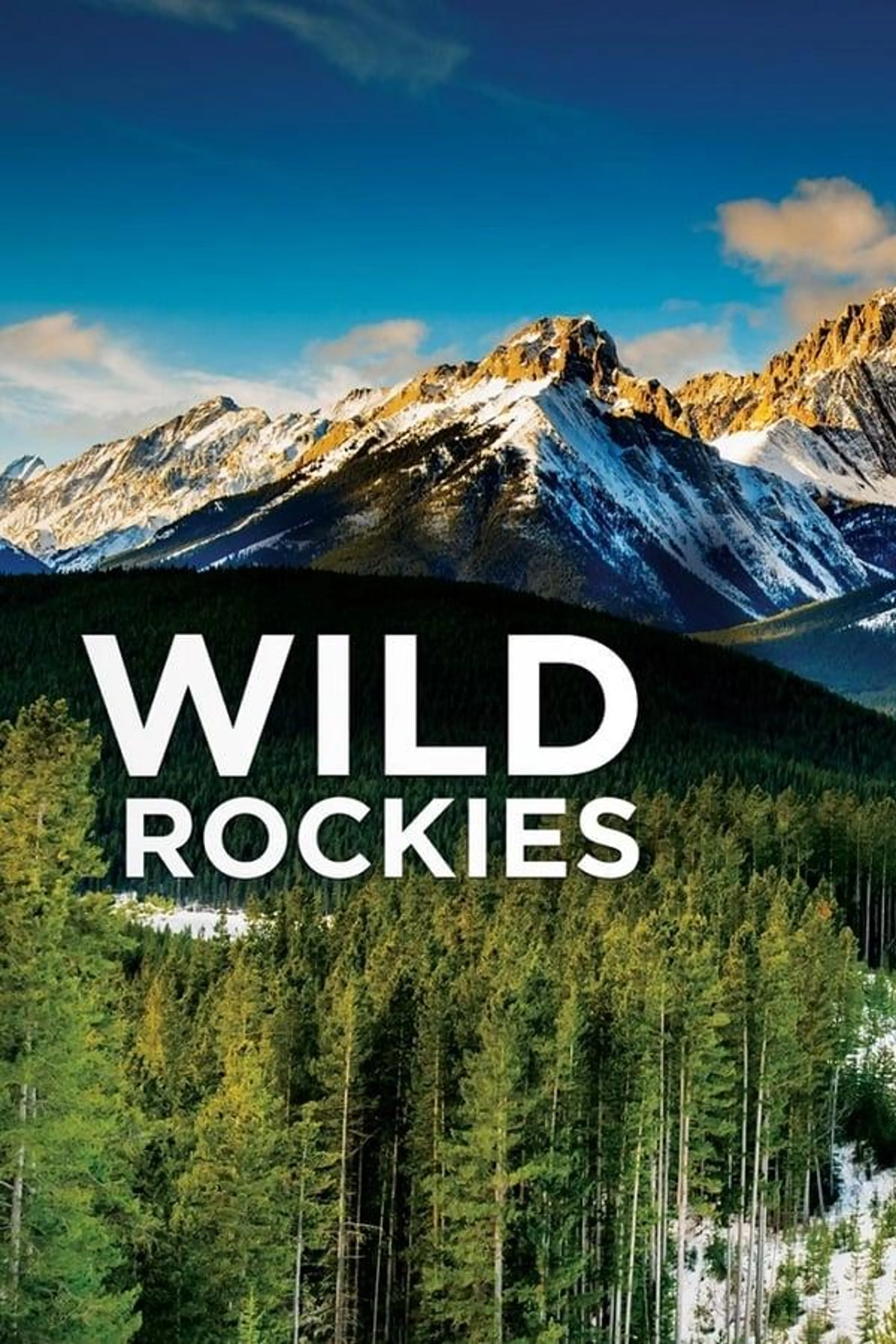 Wild Rockies Season 1