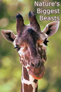 Nature's Biggest Beasts