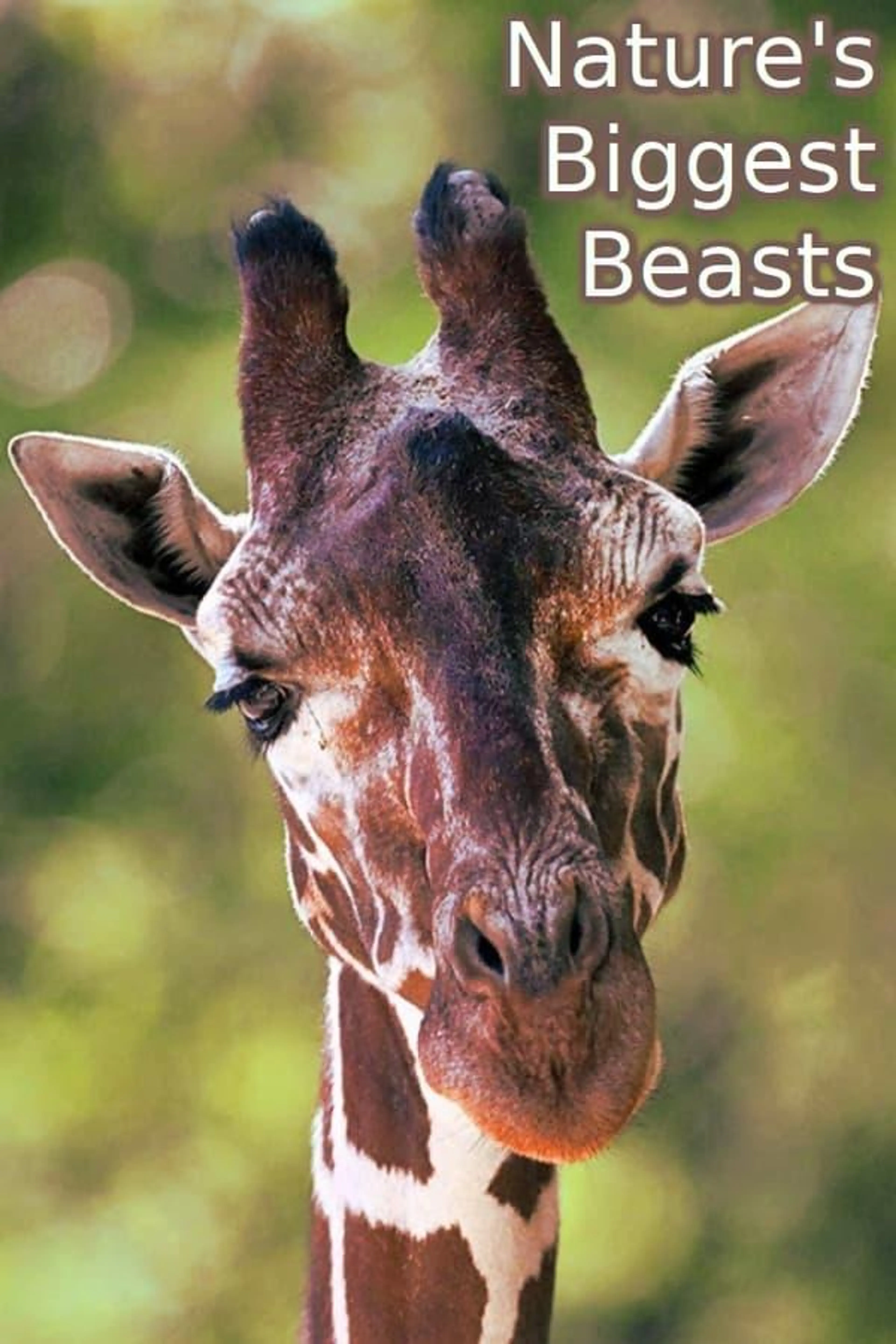 Nature's Biggest Beasts