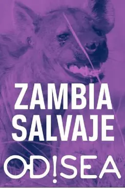 Zambia Salvaje Season 1