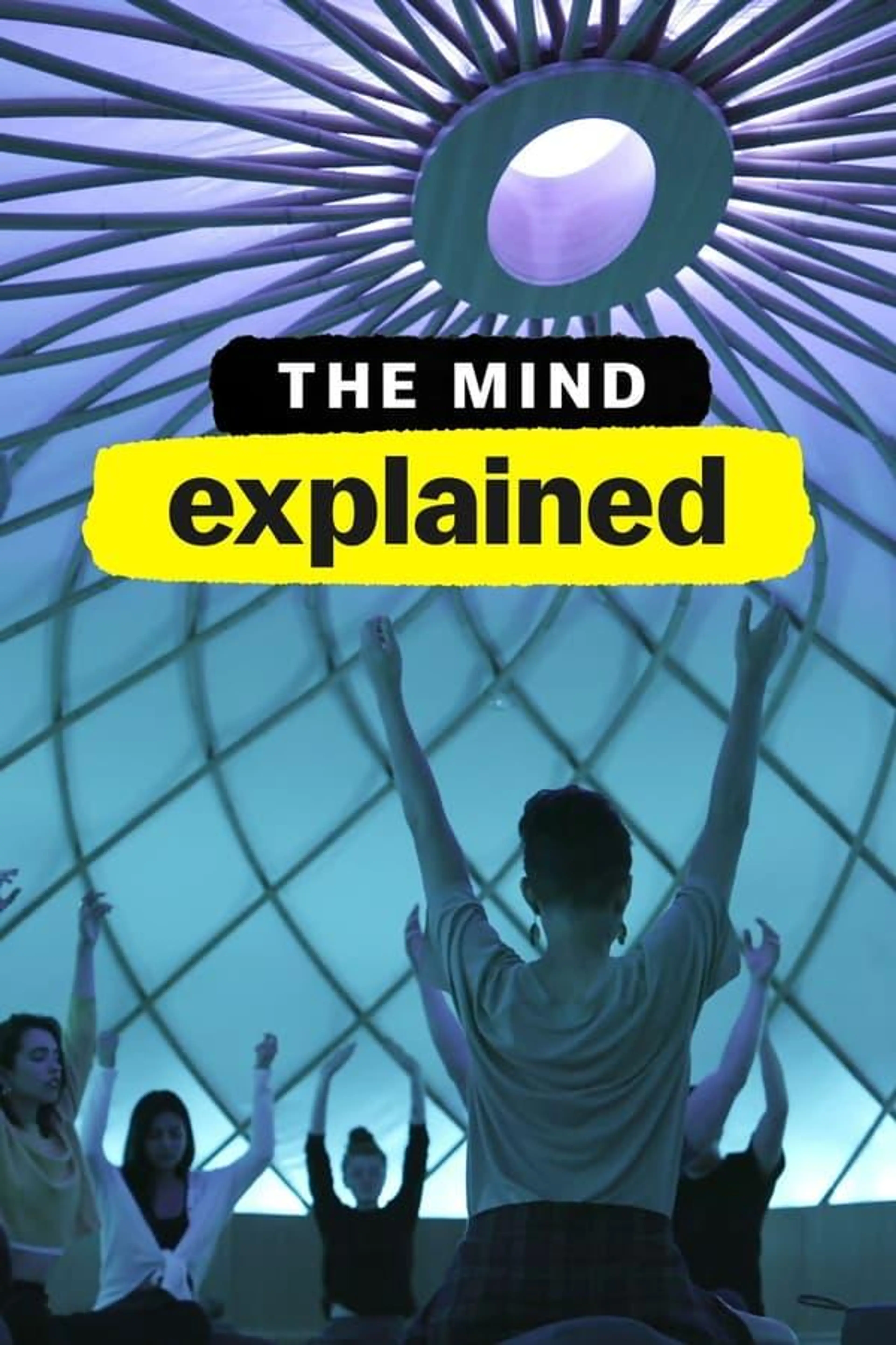 The Mind, Explained Season 2