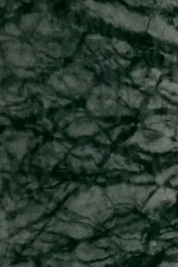 1998