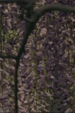Spring Songs