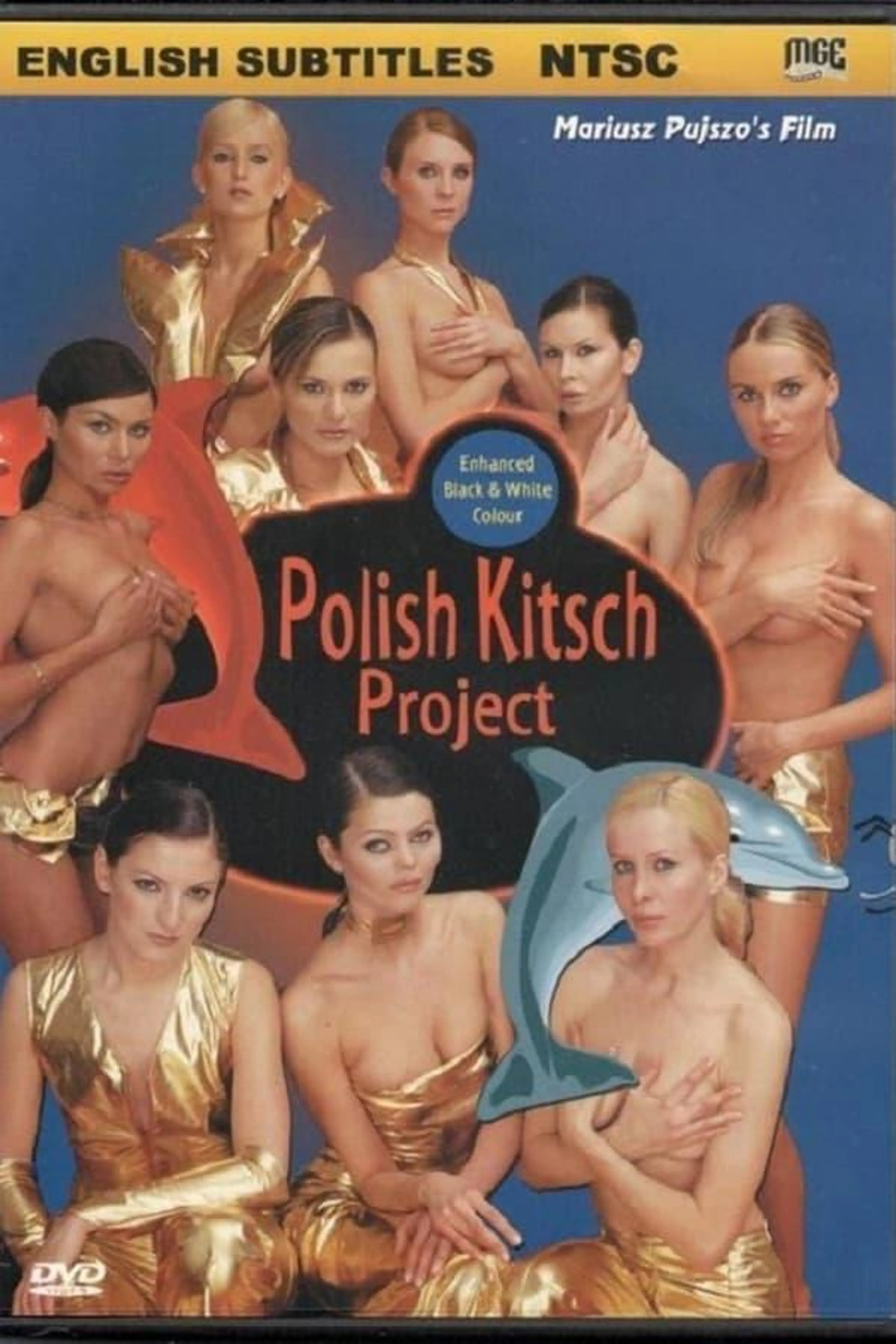 Polisz kicz projekt
