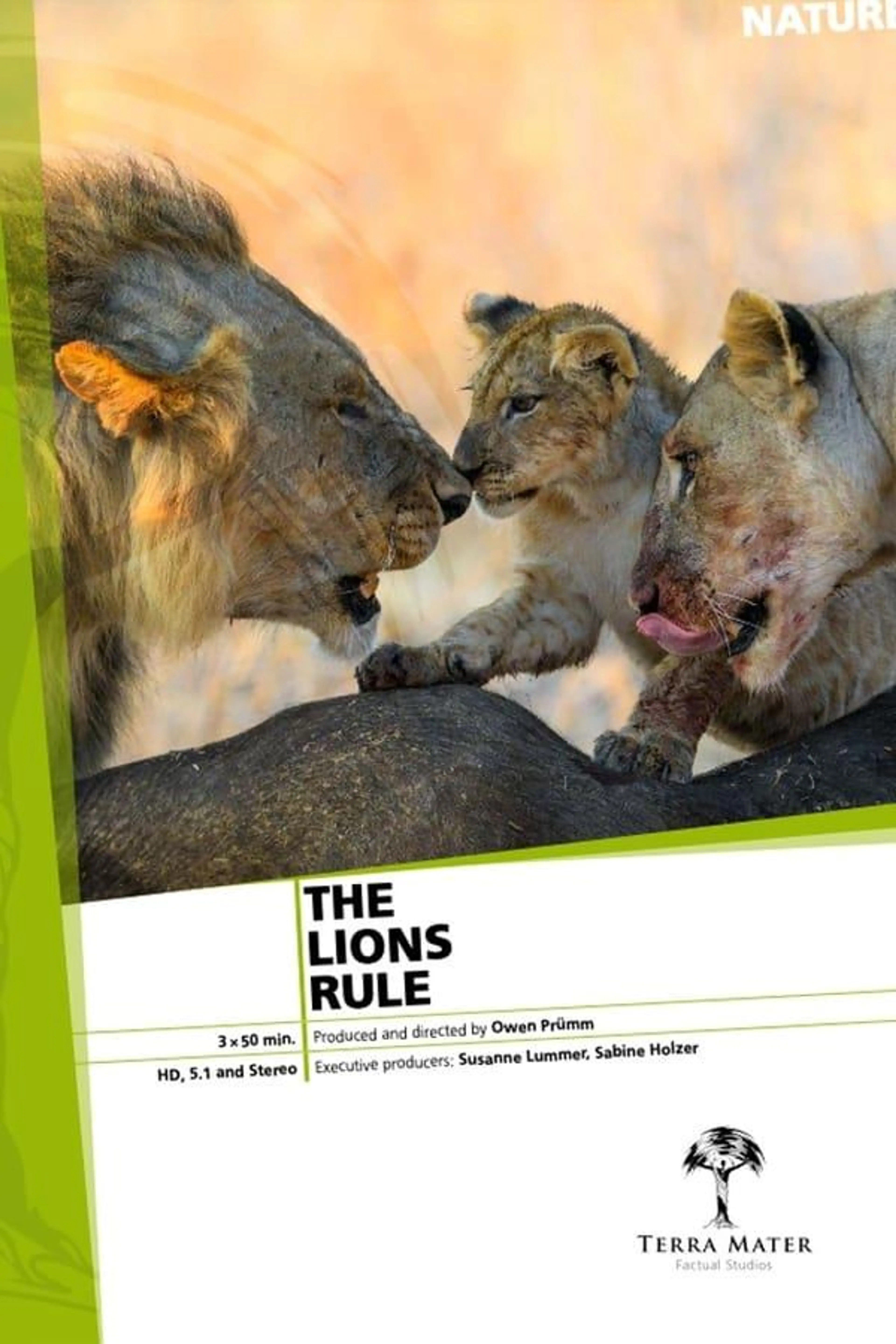 The Lions Rule Season 1
