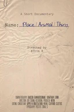 Name, Place, Animal, Thing
