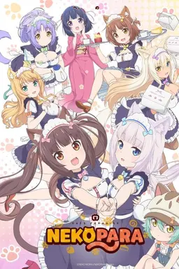 Nekopara Season 1