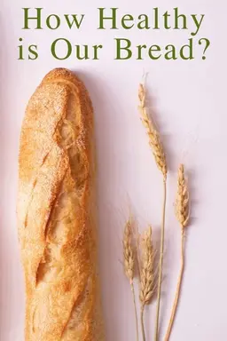 How Healthy Is Our Bread?
