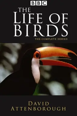 The Life of Birds Miniseries