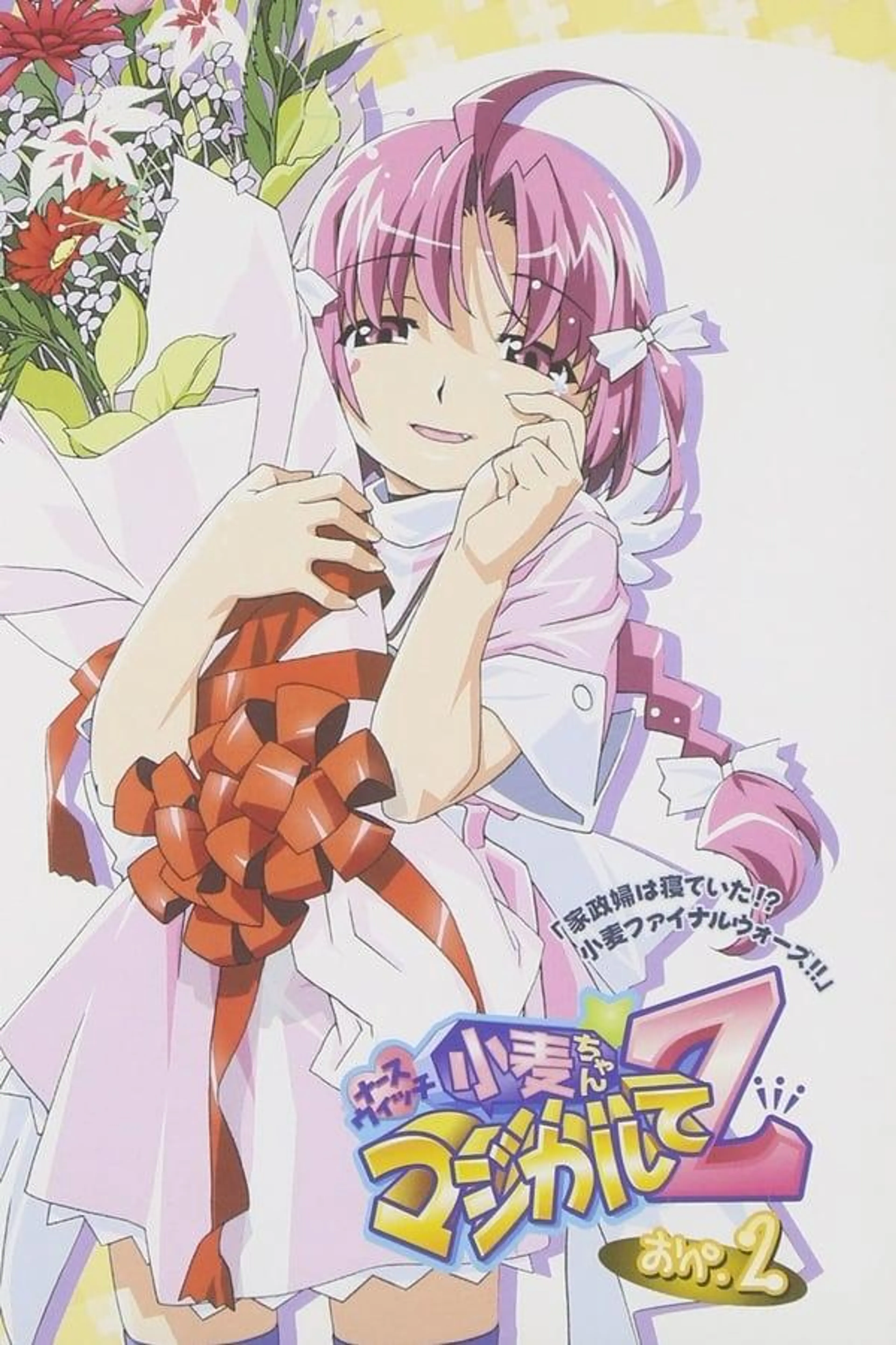 Nurse Witch Komugi-Chan Magikarte Z Season 1