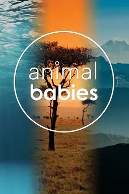 Animal Babies Miniseries