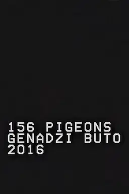156 Pigeons