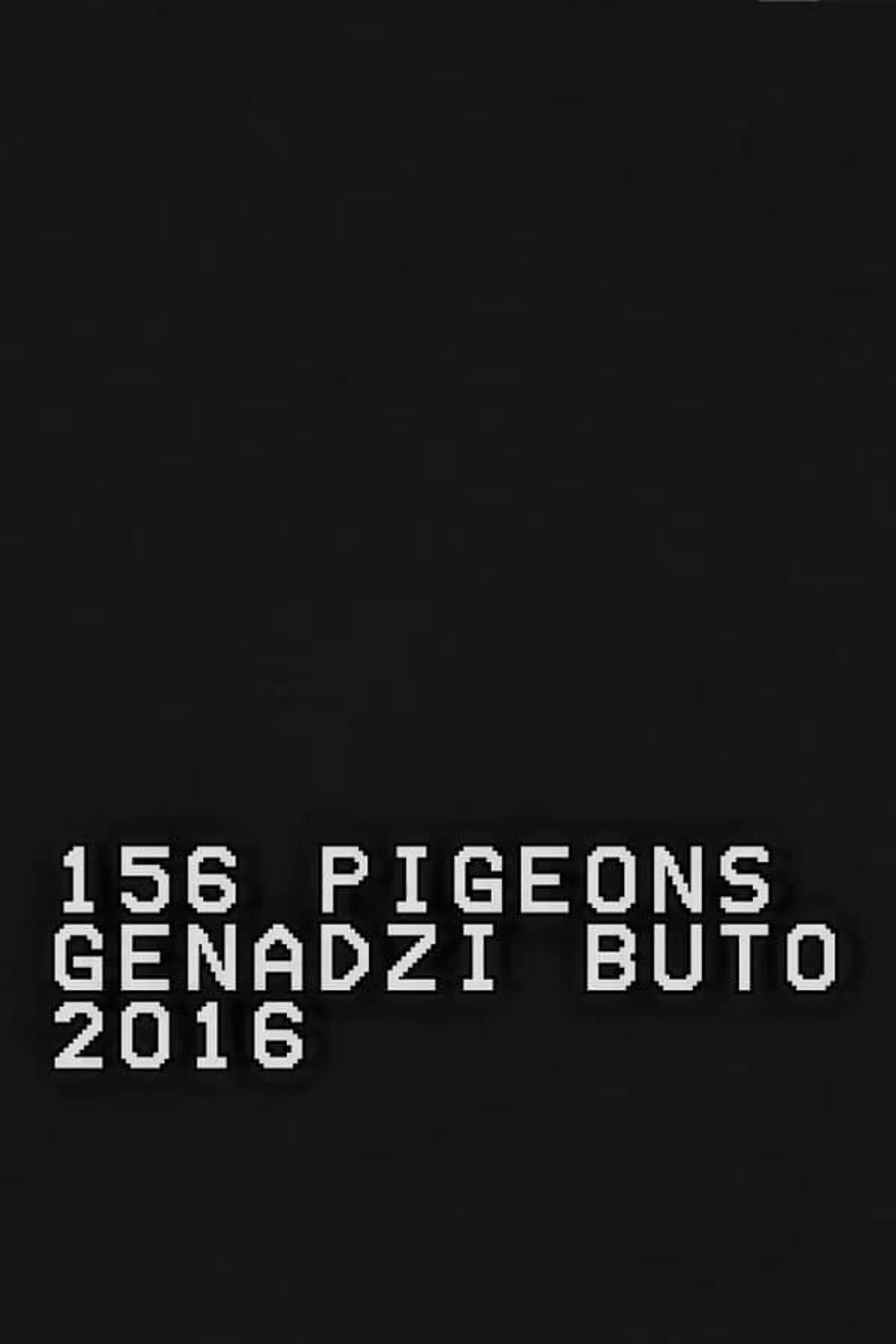156 Pigeons