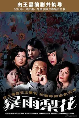 暴雨梨花 Season 1