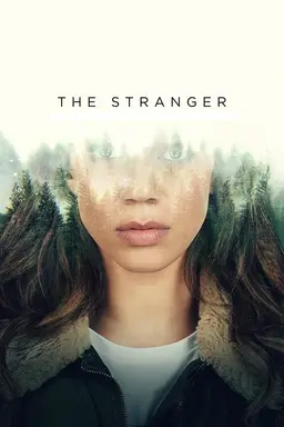 The Stranger Miniseries