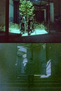 The City Inside