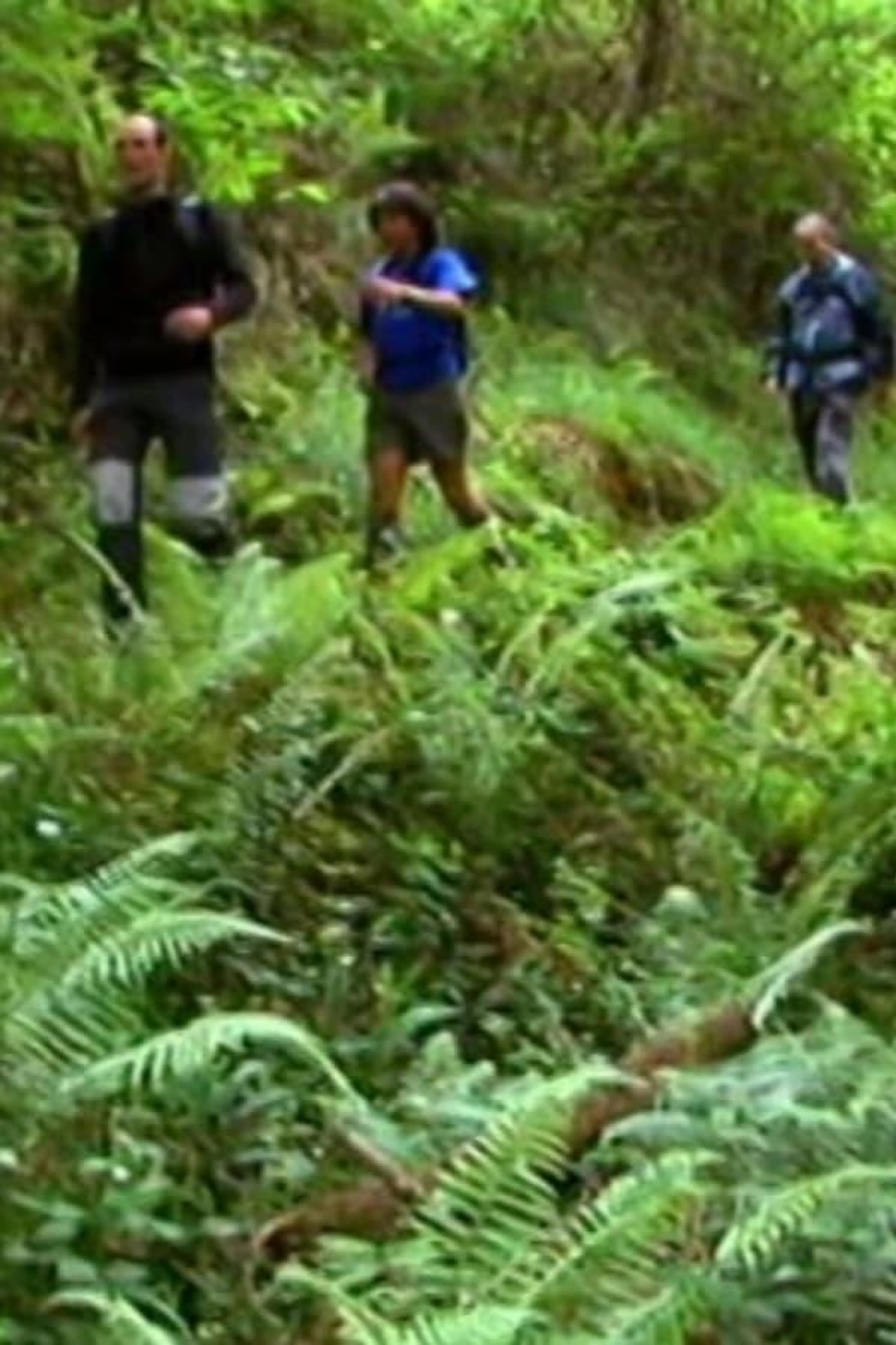 Senderos de gran recorrido Season 1