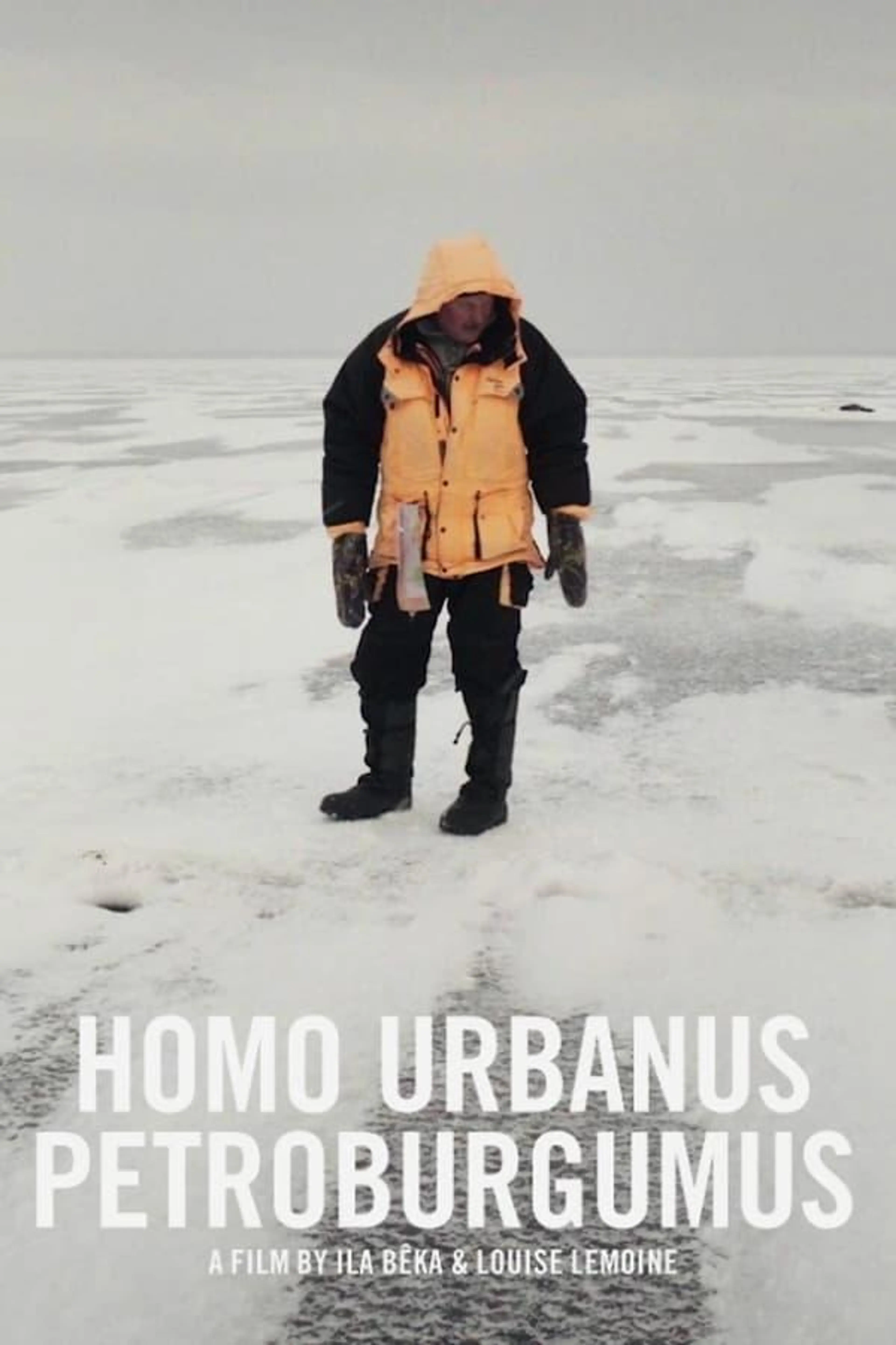 Homo Urbanus Petroburgumus