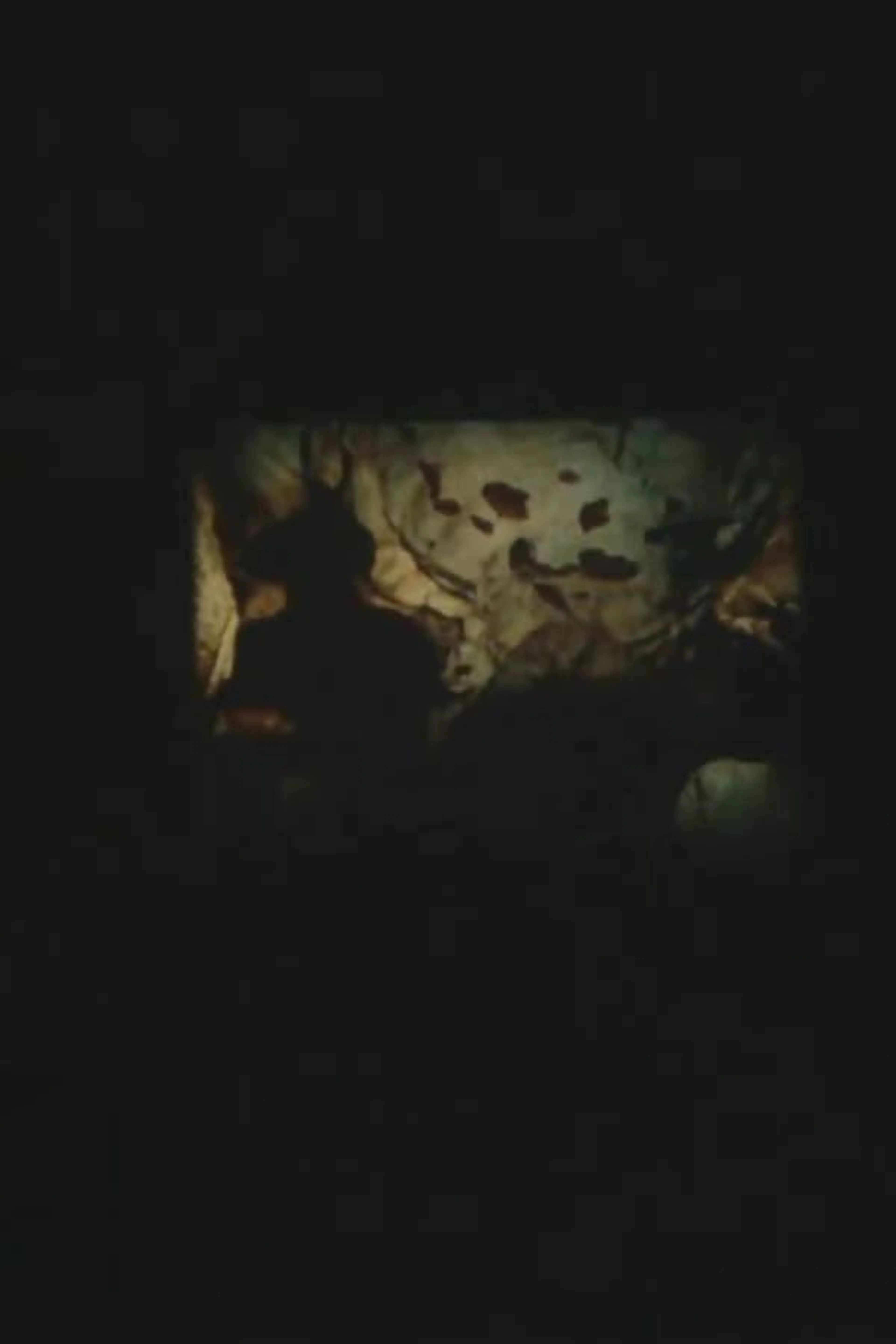 Sans titre (Lascaux)