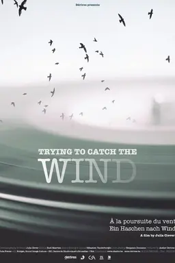 Trying to Catch the Wind
